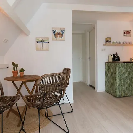 Way Up Homestay Amsterdam